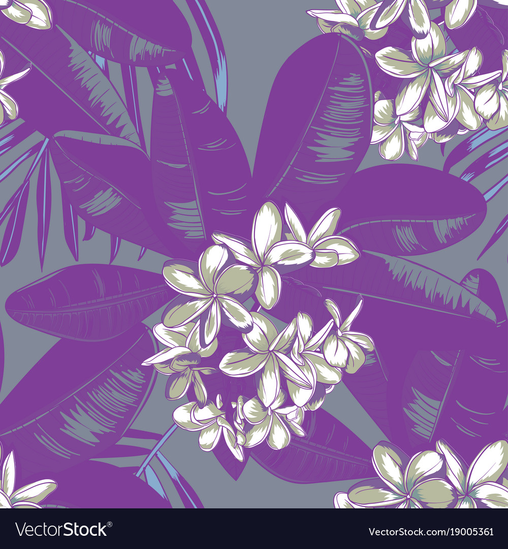 Seamless pattern with plumeria flowers