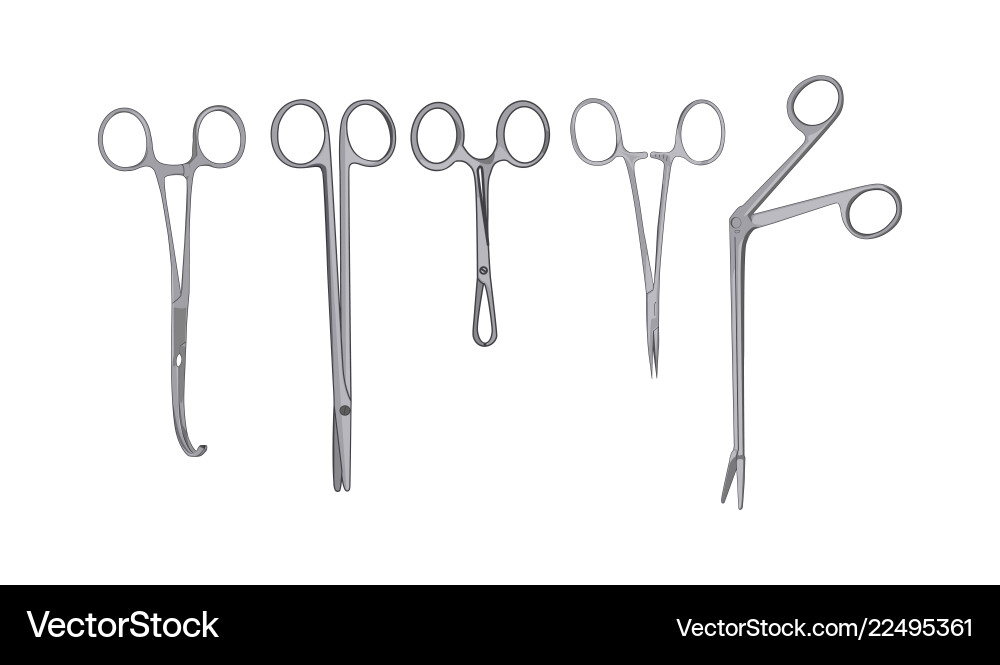 Surgical scissors and clamps isolated on white Vector Image