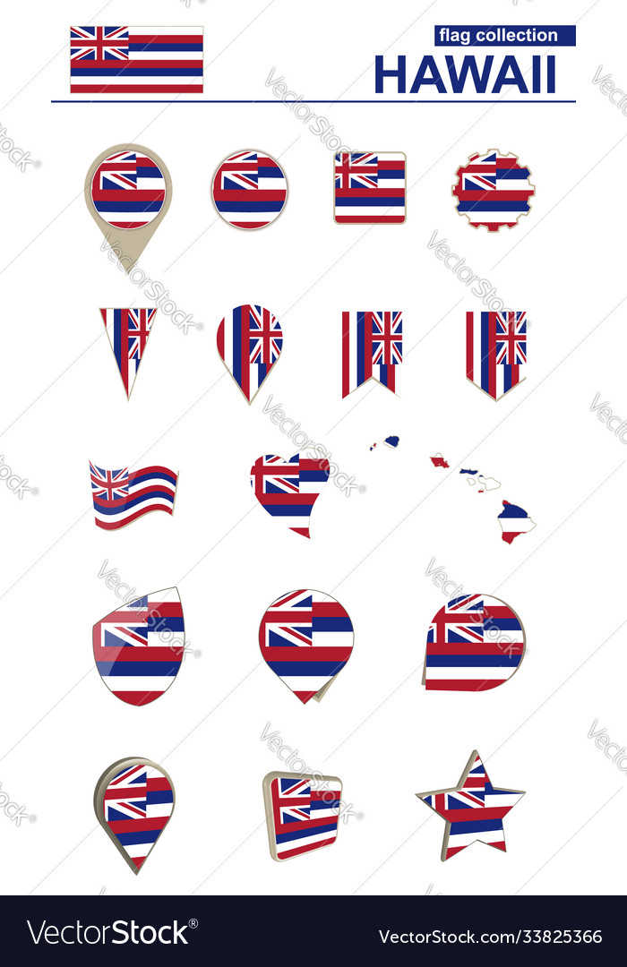 Hawaii flag collection big set for design Vector Image