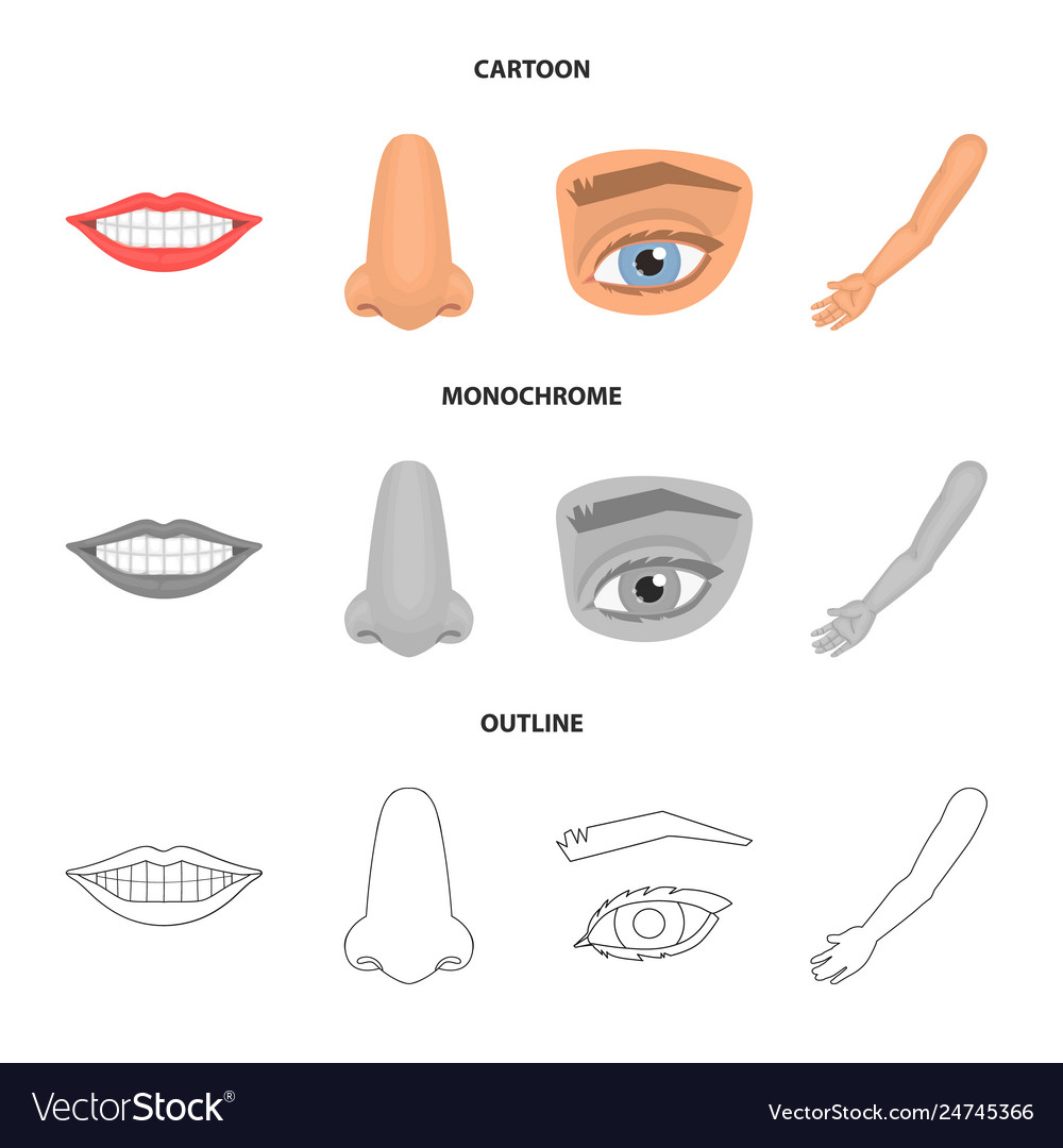 Isolated object body and part sign collection vector image Isolated object body and part sign collection