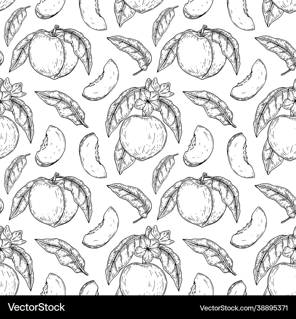 Hand drawn peach seamless pattern Royalty Free Vector Image