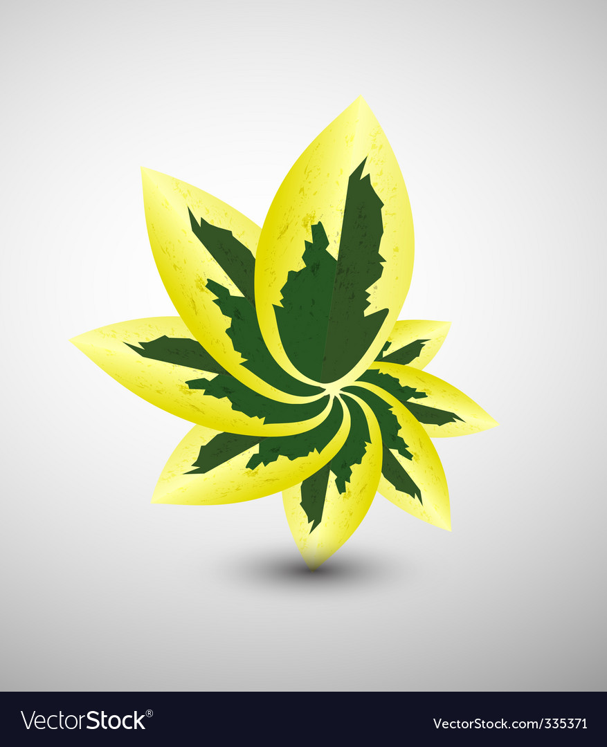Natural elements background Royalty Free Vector Image