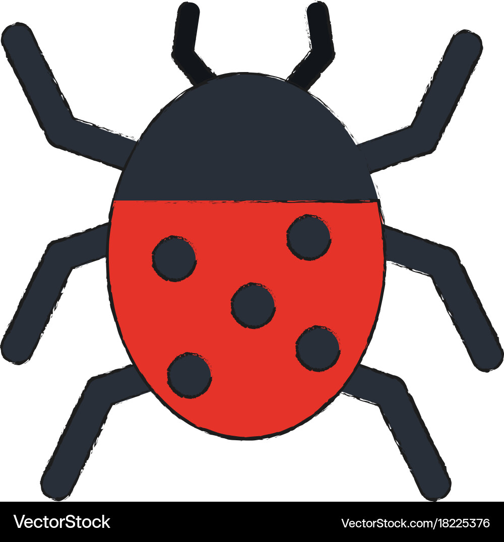 Beetle insect or bug icon image Royalty Free Vector Image