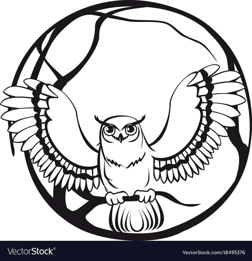 Black And White Owl Sitting On A Branch Tree