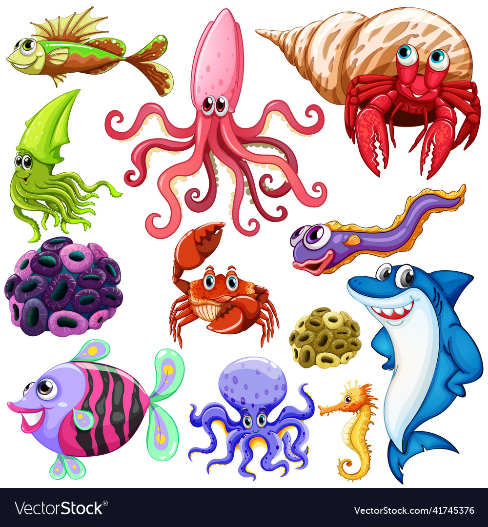 Different types of sea animals Royalty Free Vector Image