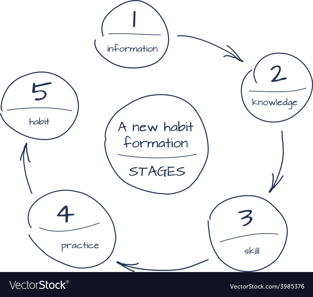 Hand drawn sketch of process step by diagram Vector Image