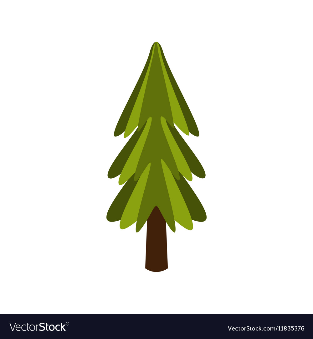 Standalone fir tree camping and hiking outdoor Vector Image