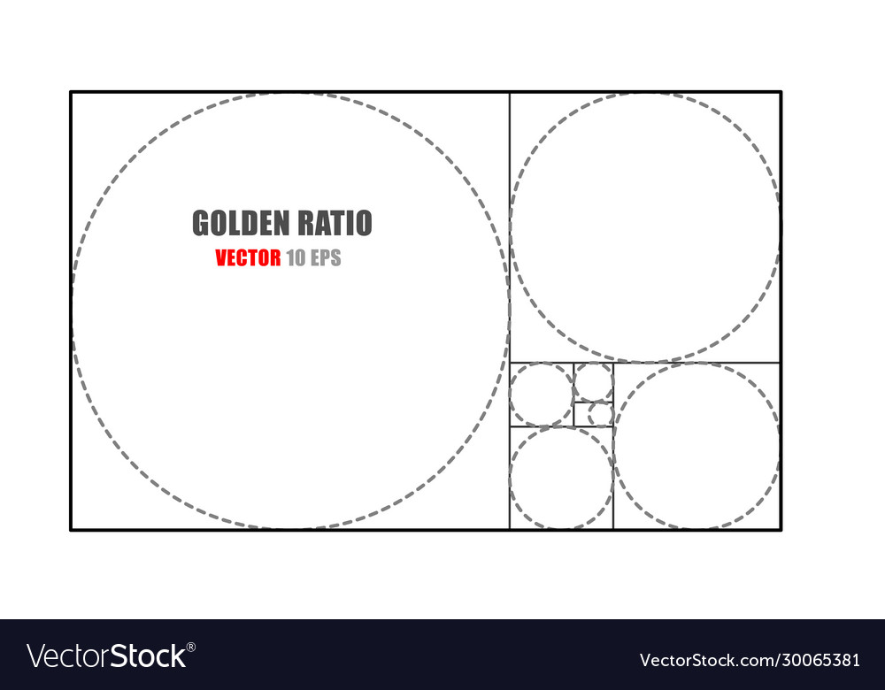 Circles in golden proportion futuristic design Vector Image