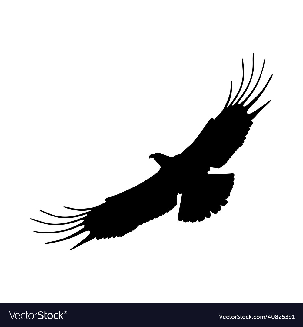 Black eagle silhouette Royalty Free Vector Image