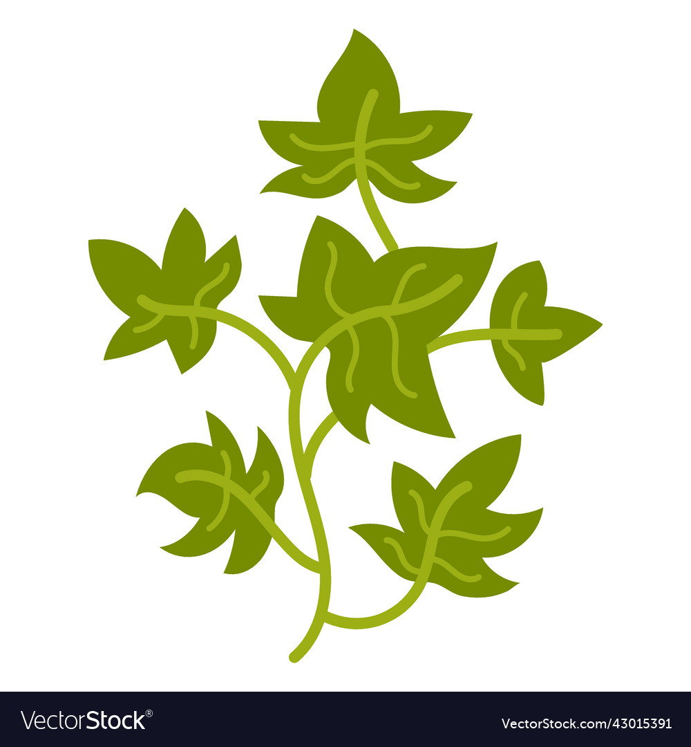 Climbing plant flat Royalty Free Vector Image - VectorStock