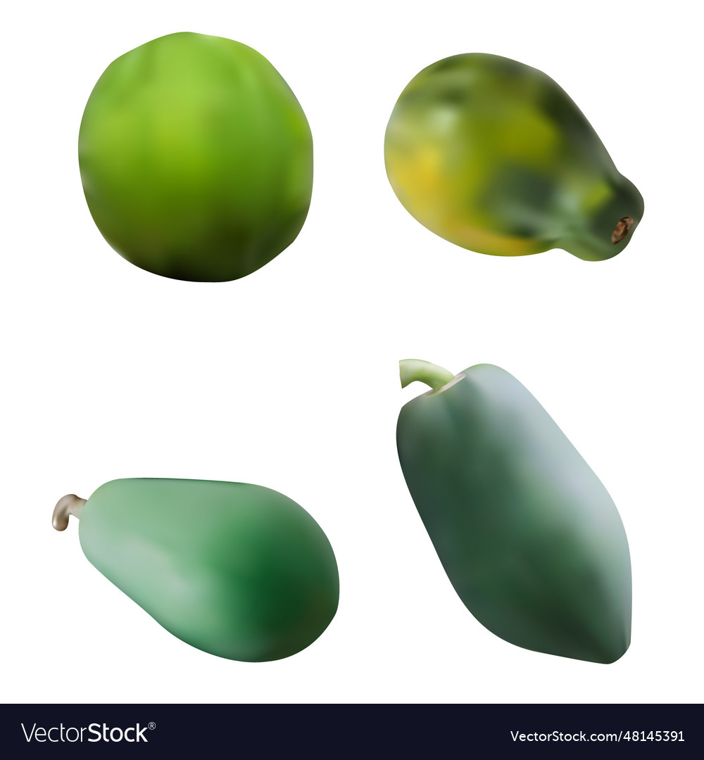 Realistic green papaya set Royalty Free Vector Image