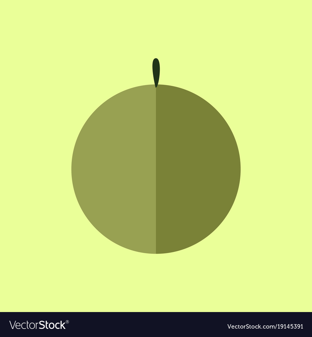 Simple flat melon