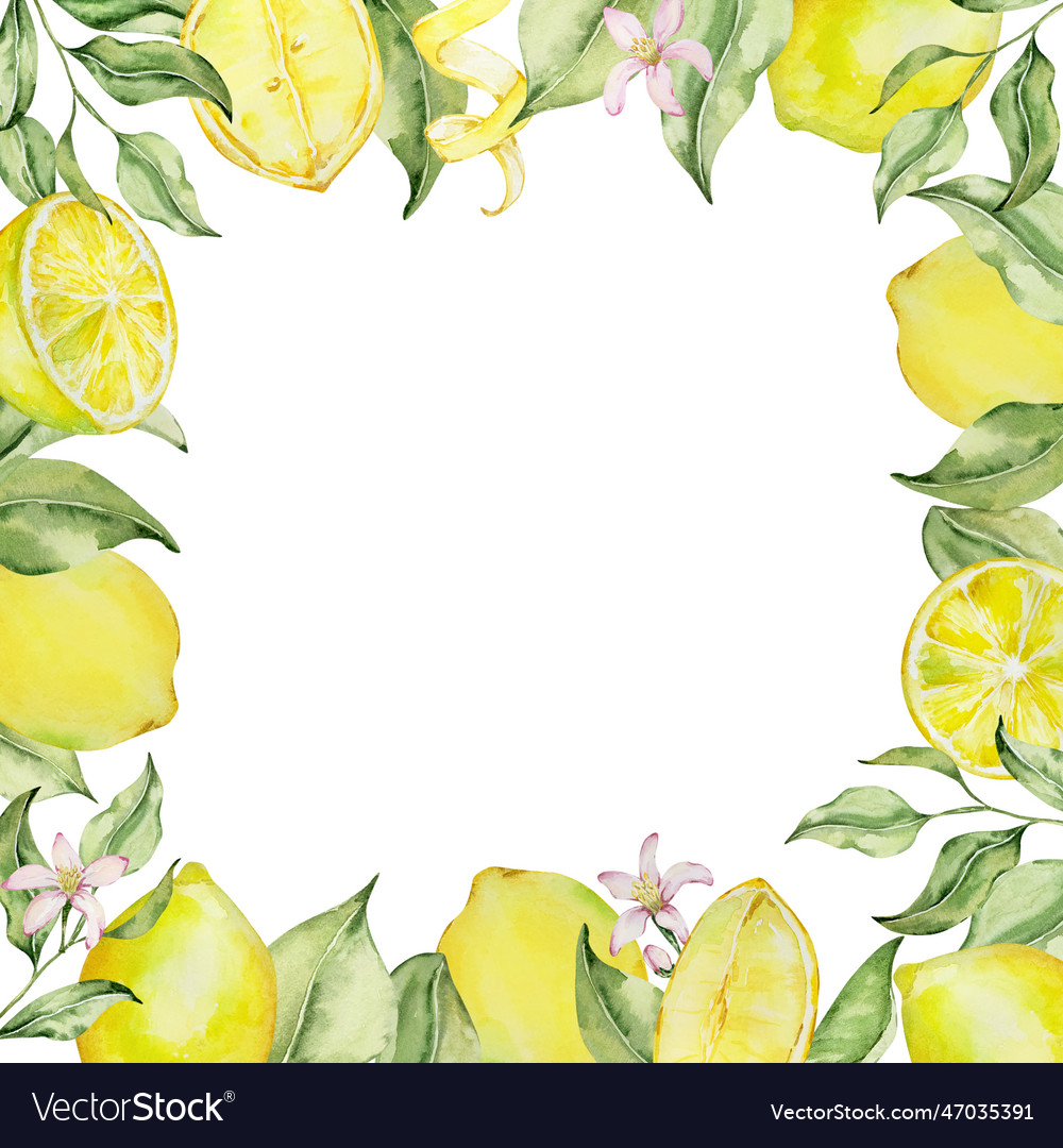 Square Frame Of Watercolor Lemons Flowers Vector Image