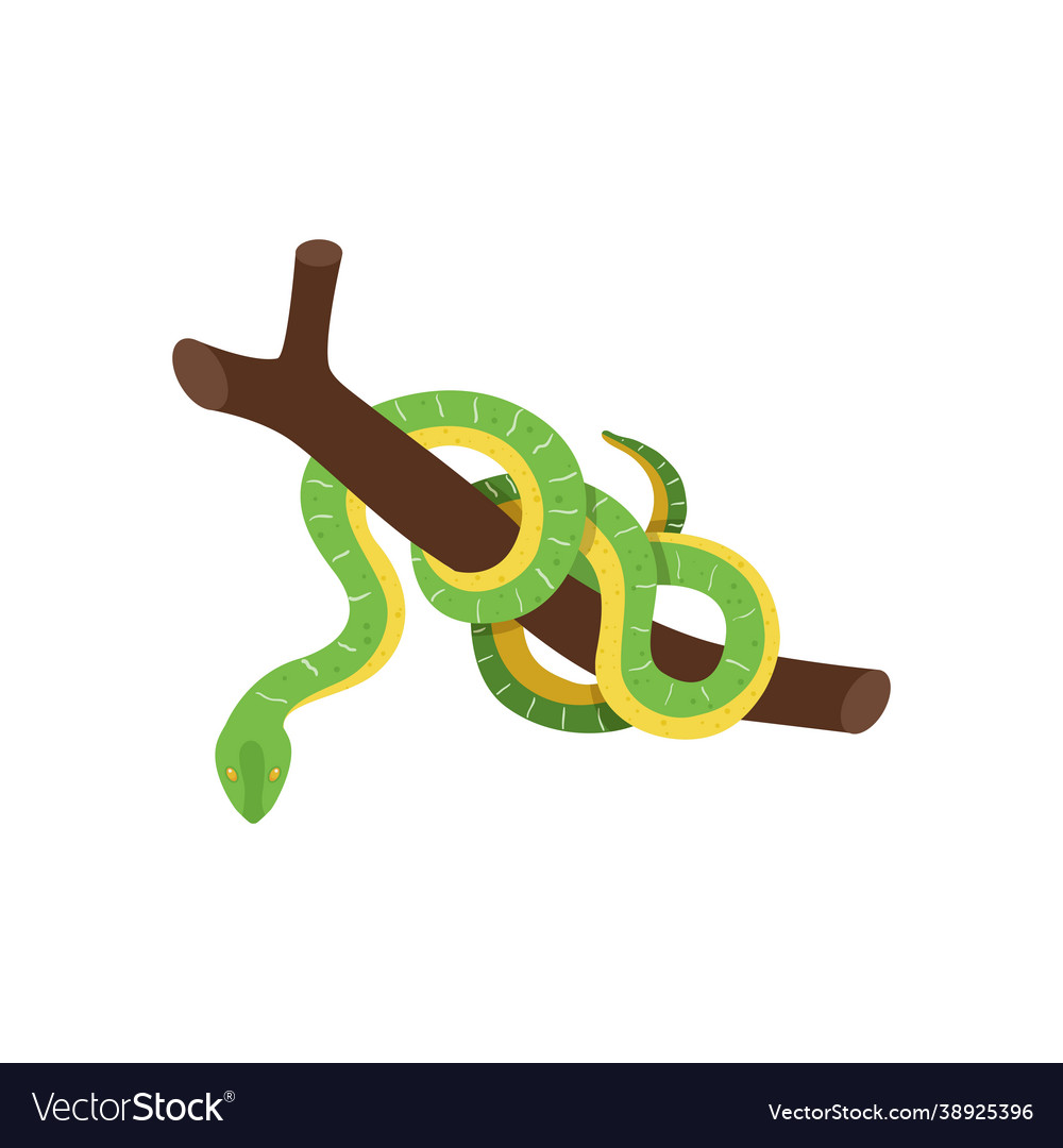 Snake isometric Royalty Free Vector Image - VectorStock