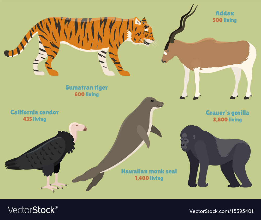 Diverse Wildlife Animals