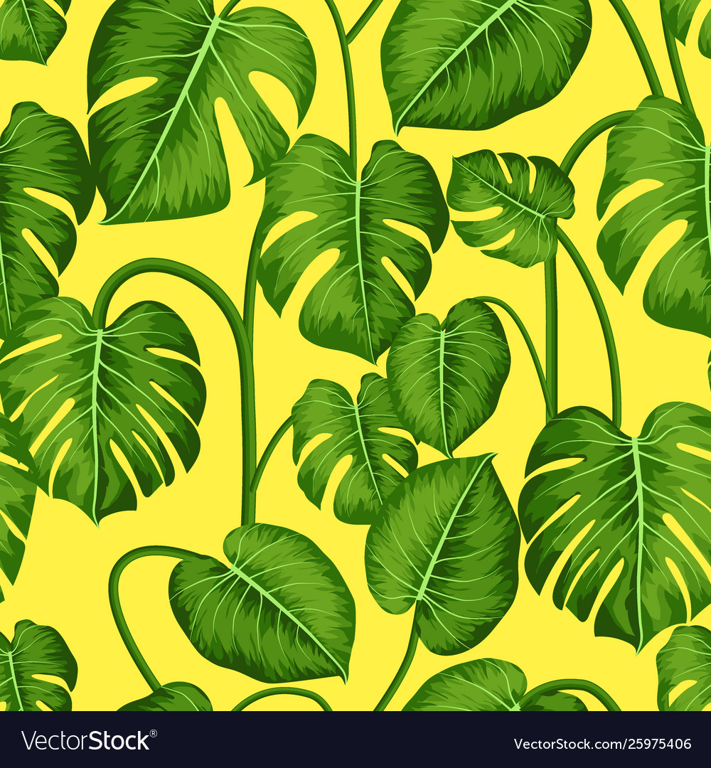 Monstera seamless pattern with tropical leaves vector image Monstera seamless pattern with tropical leaves