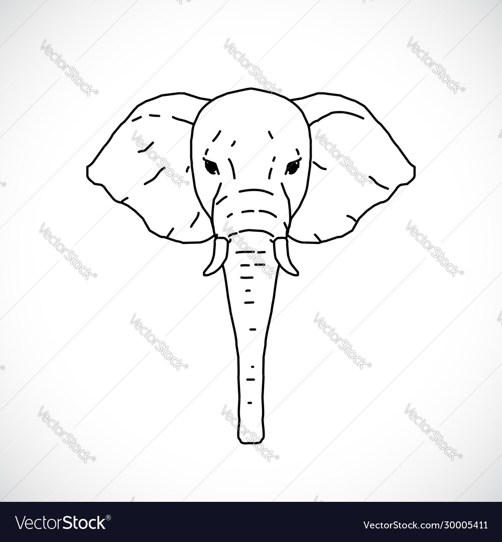 Incredible Compilation of Elephant Drawings: Over 999+ Elephant Drawing ...