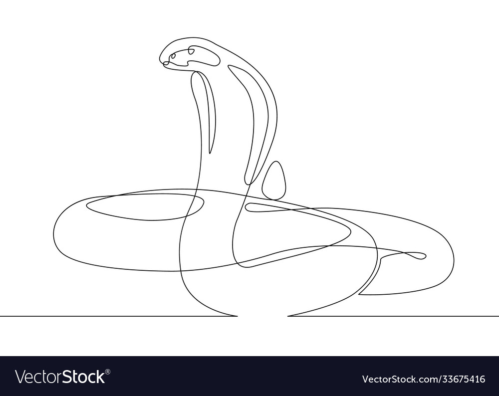 Continuous line drawing snake cobra vector image Continuous line drawing snake cobra