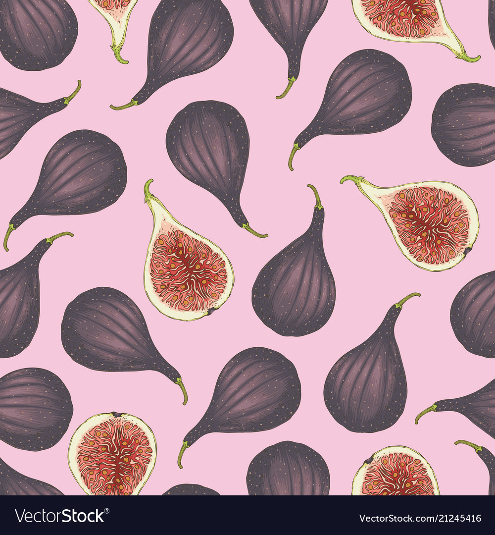 Seamless pattern with ripe fig vector image Seamless pattern with ripe fig