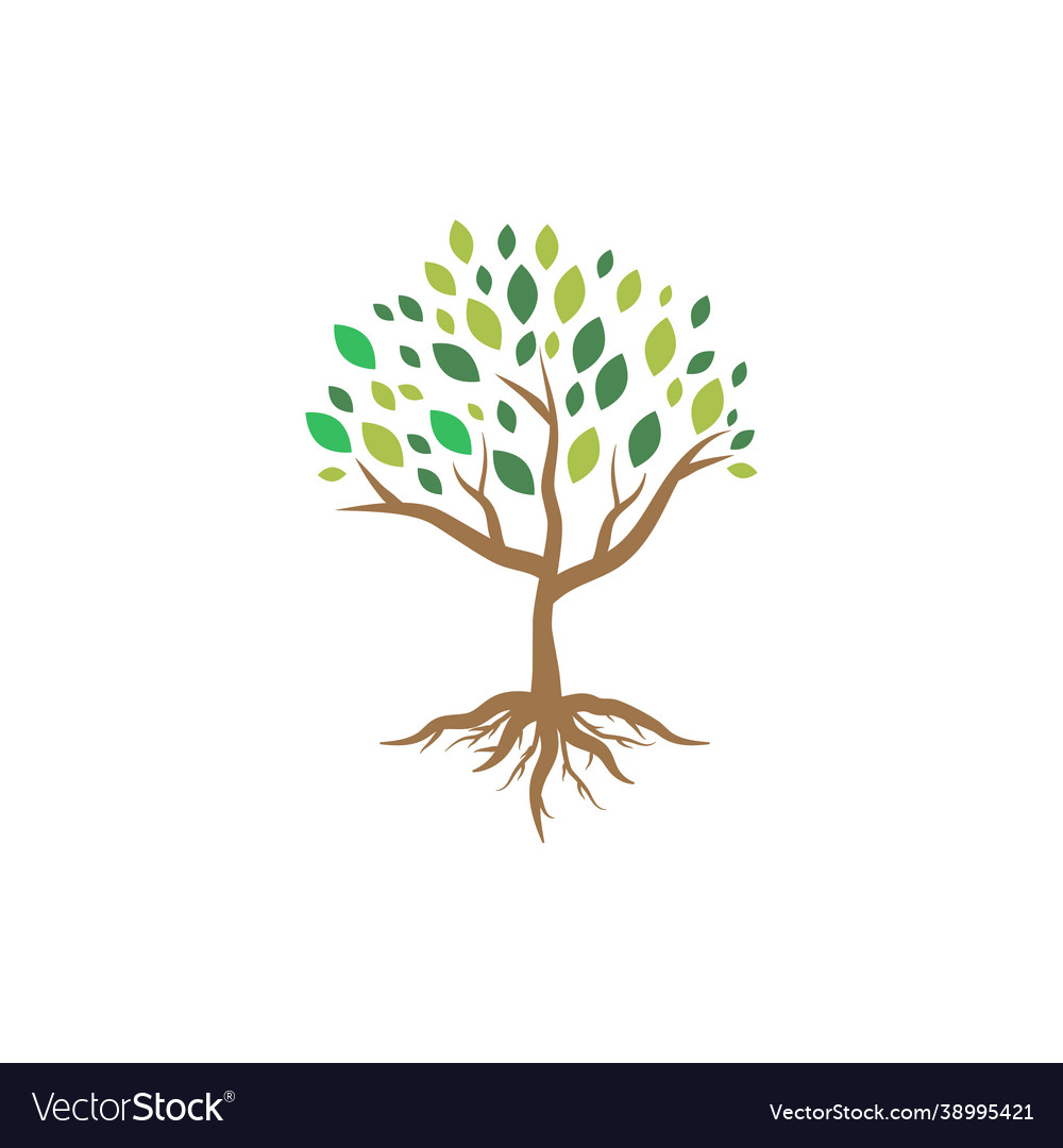 Tree icon design vector image Tree icon design