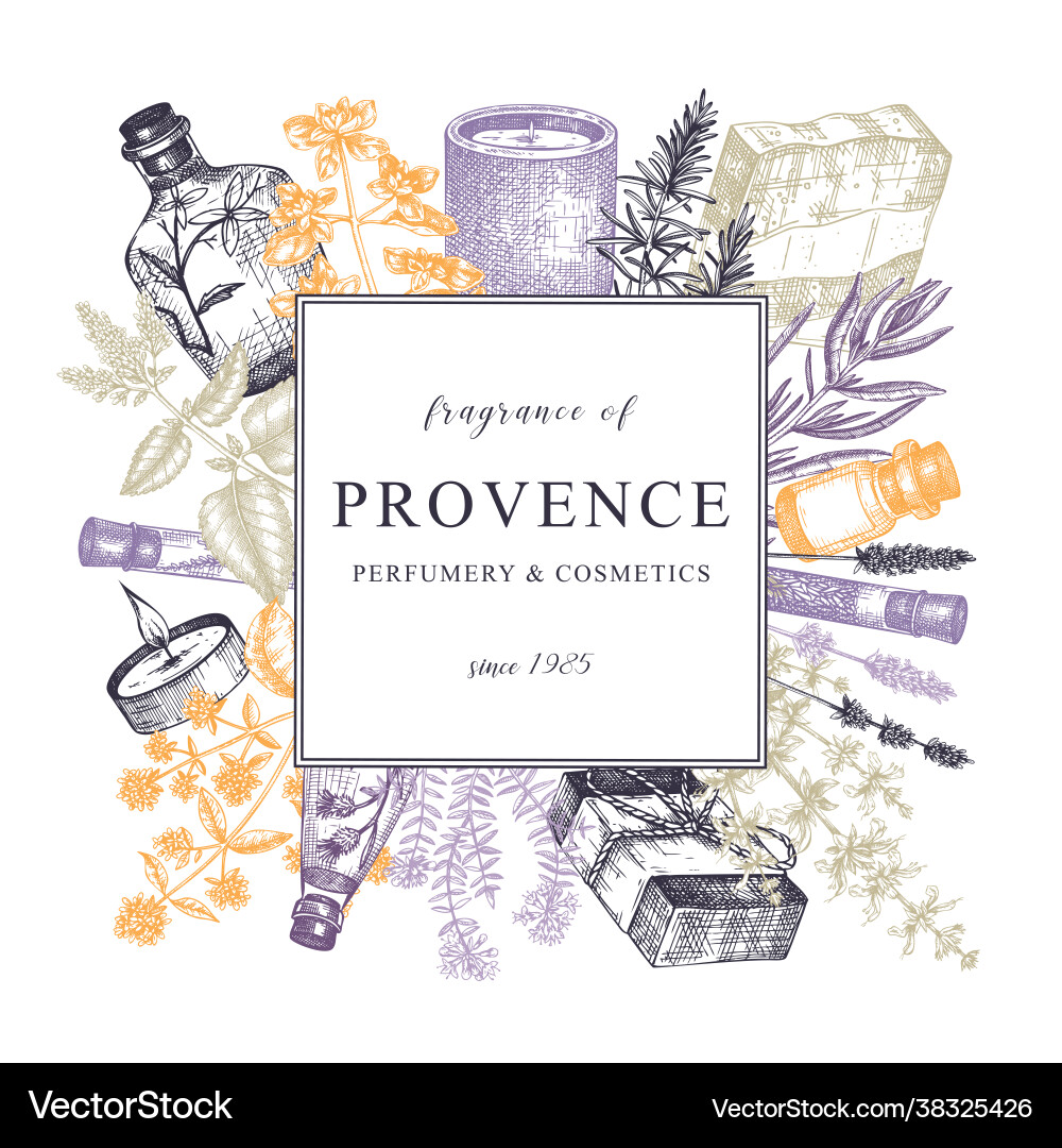 Provence herbs greeting card or invitation Vector Image