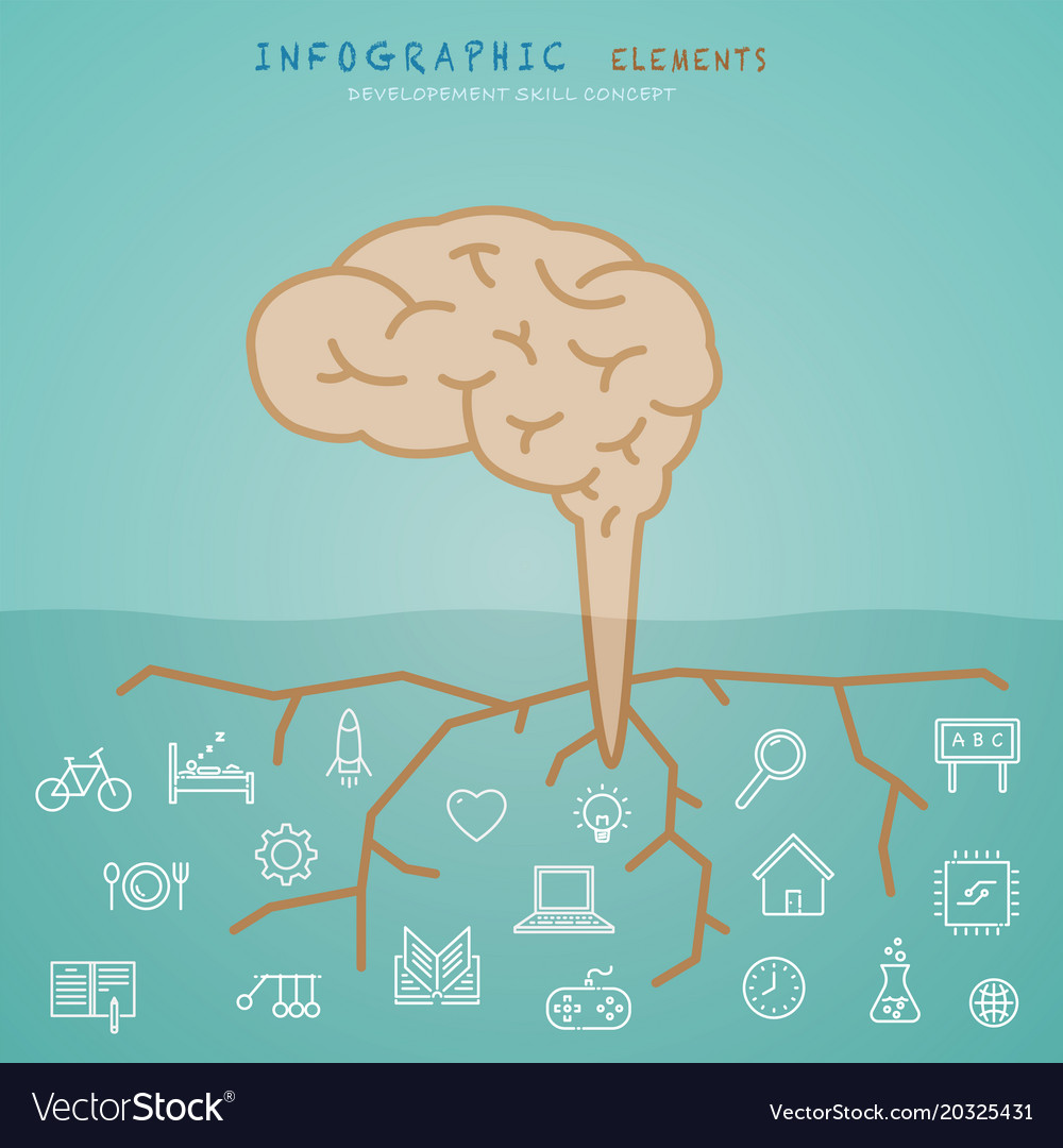 Brain infographic elements with development