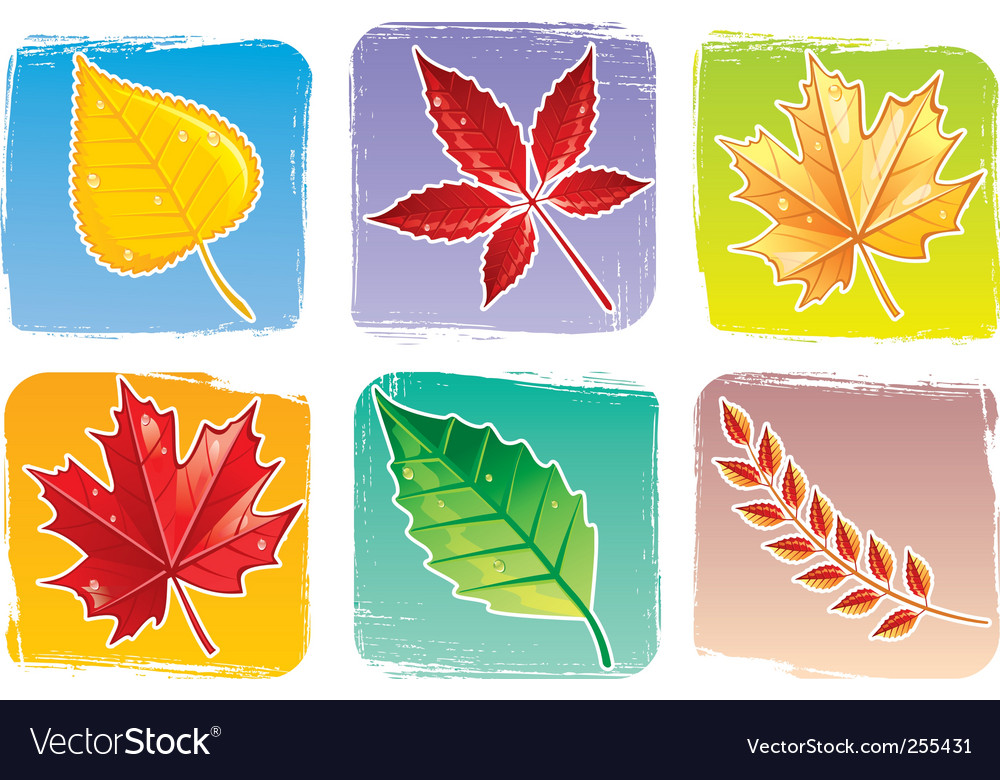 Leaf set