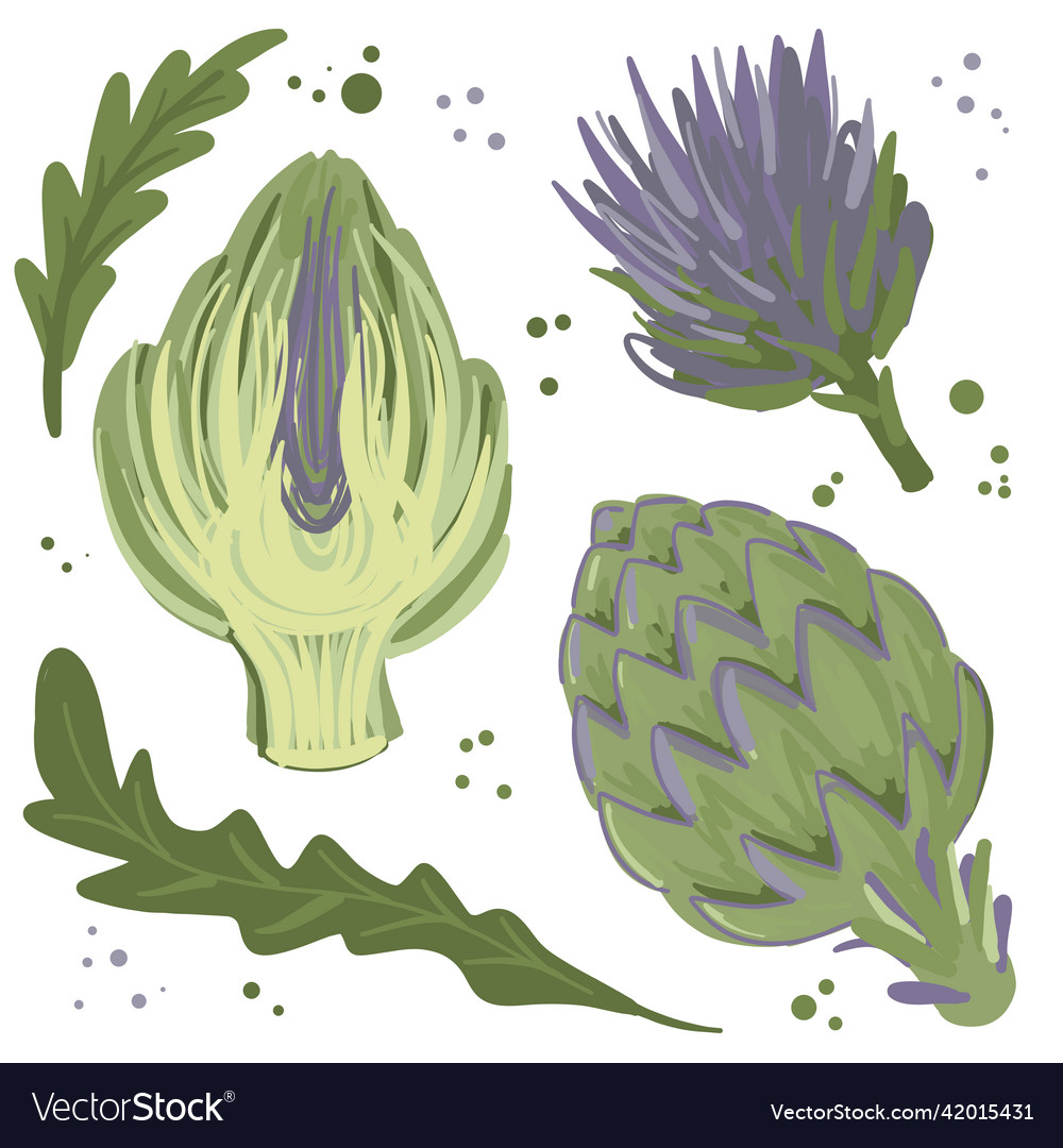 Webkollektion von handgezogenem Artichockbündel