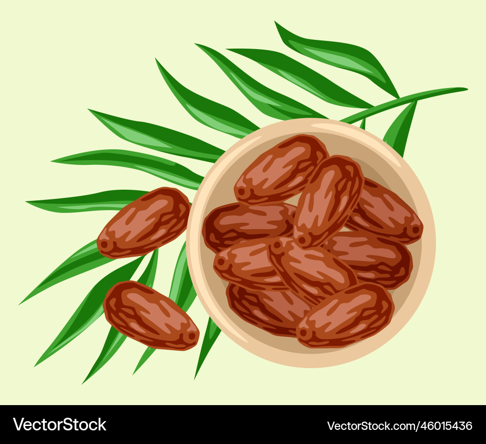 Dates fruits and palm leaves Royalty Free Vector Image