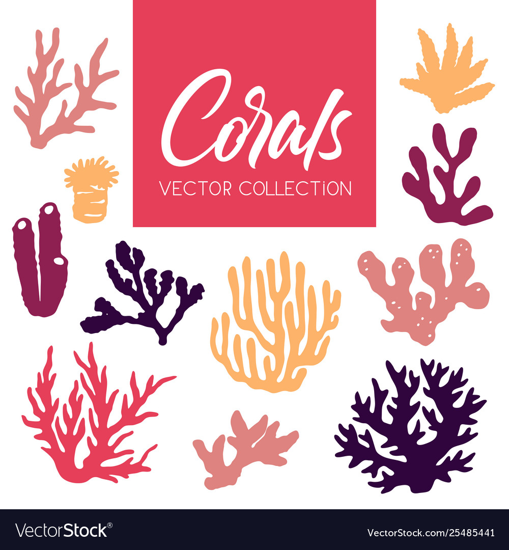 Set isolated colorful corals and algae vector image Set isolated colorful corals and algae