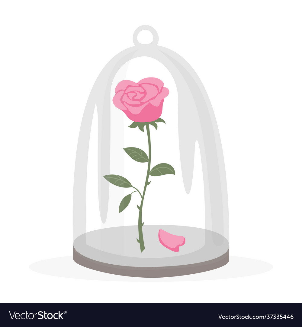 Rose in a flask glass on white background Vector Image Rose in a flask glass on white background Vector Image