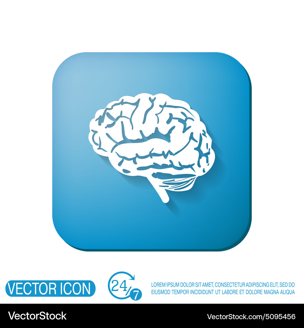 Brain mind and science Royalty Free Vector Image