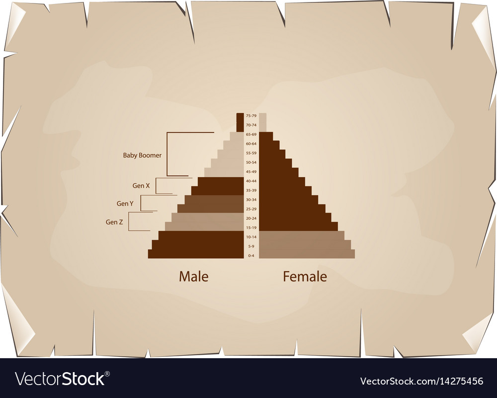 Population pyramids graphs with 4 generation