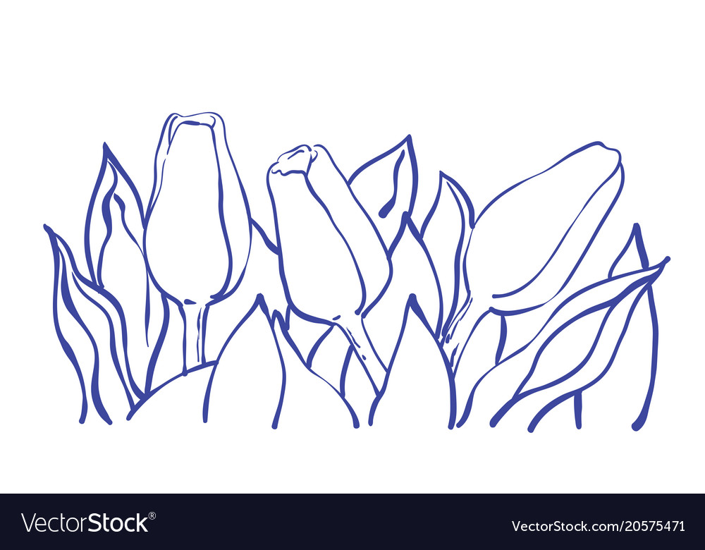 Romantic tulip composition