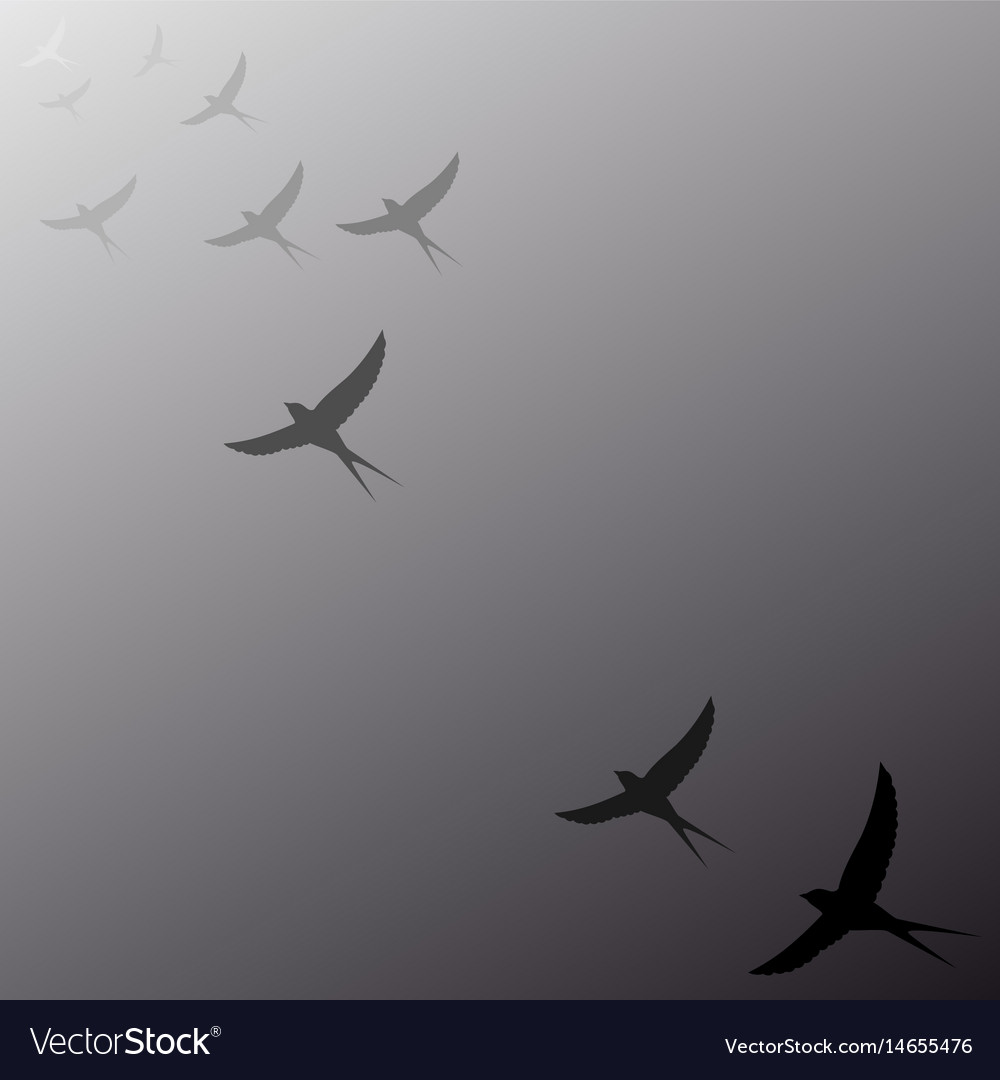 Birds flying away into the distance Royalty Free Vector