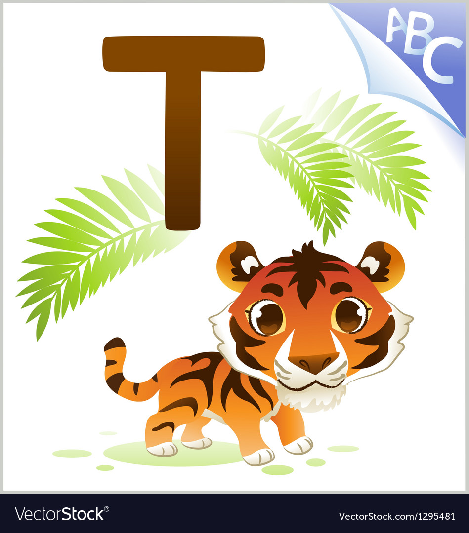 Animal alphabet for the kids t for the tiger Vector Image Animal alphabet for the kids t for the tiger Vector Image