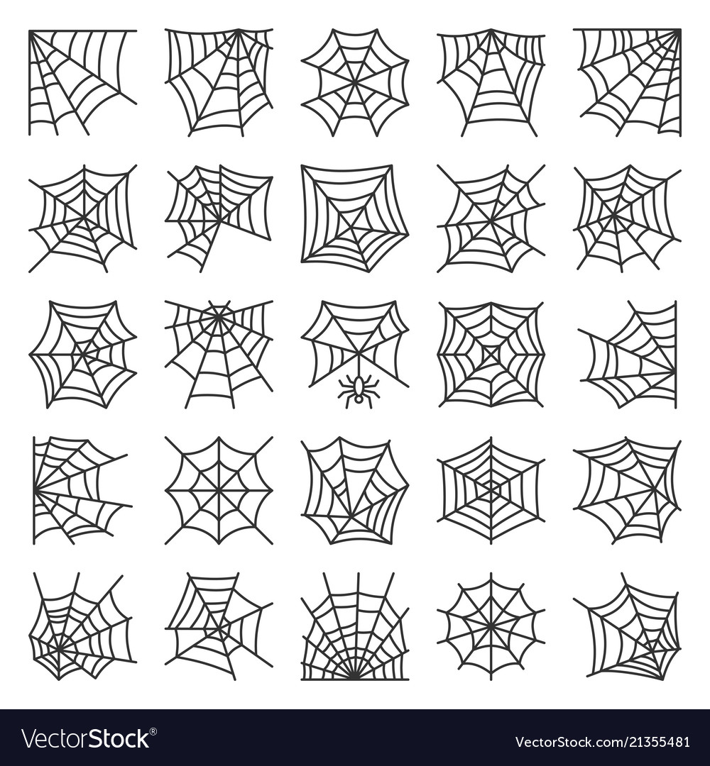Thin Line Spider Web Icon Set
