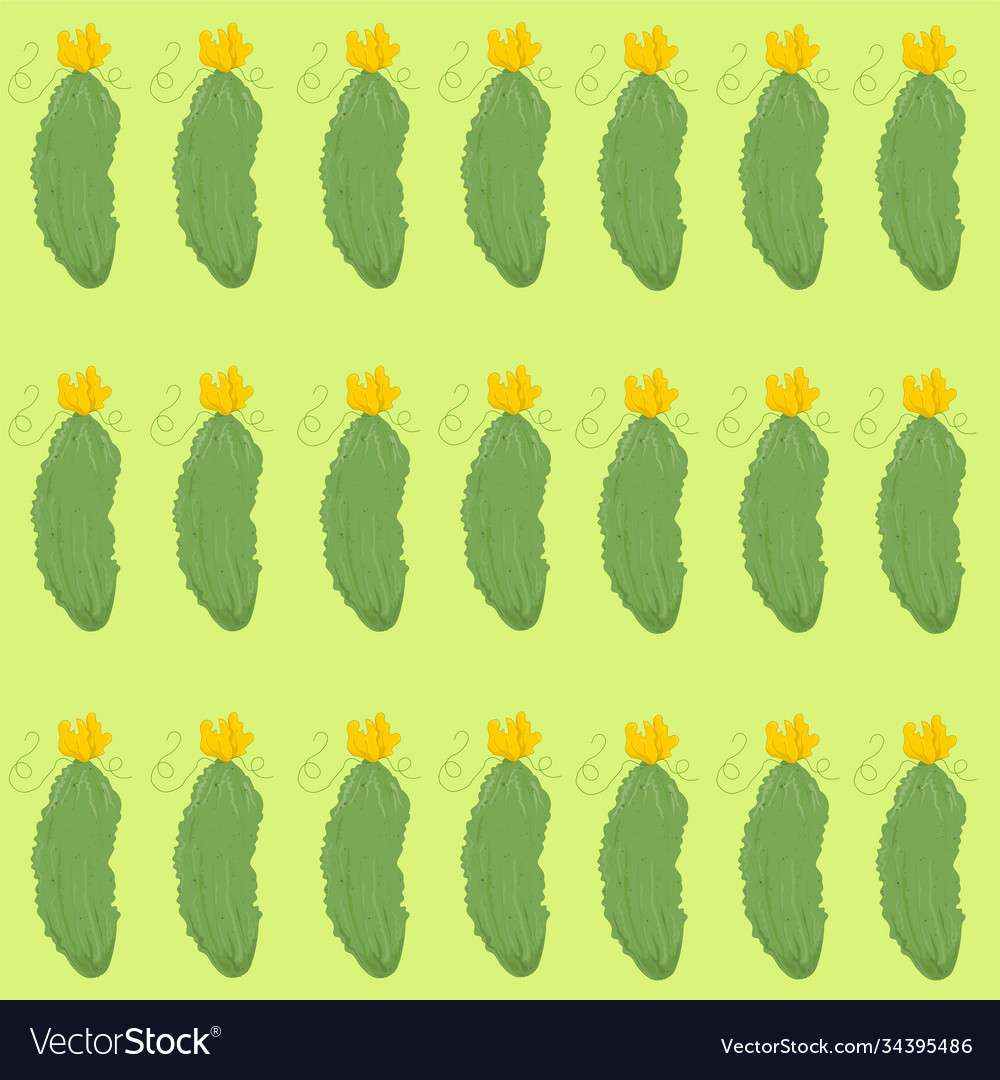 Realistic cucumber seamless pattern vector image Realistic cucumber seamless pattern