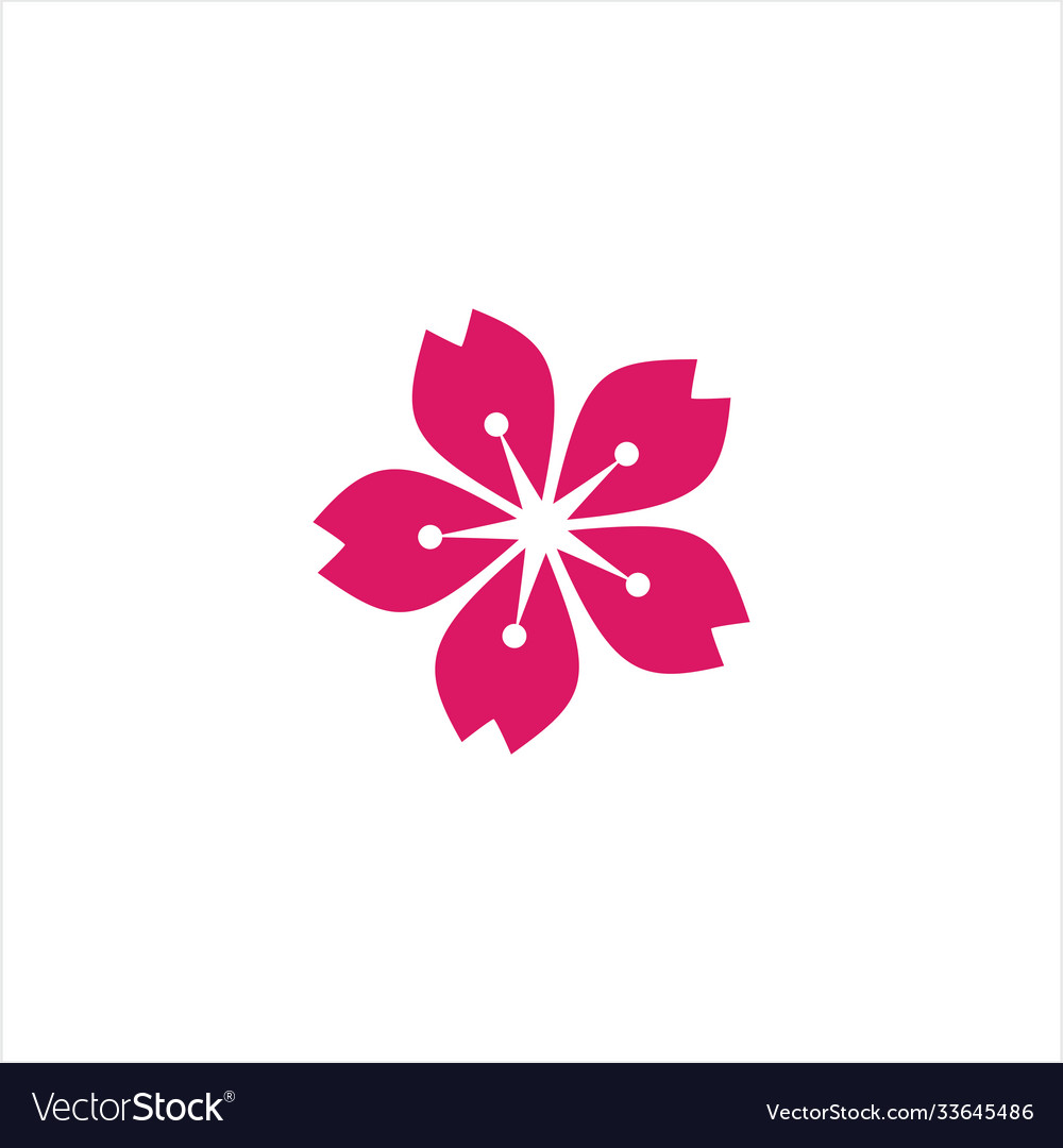 Sakura template design Royalty Free Vector Image