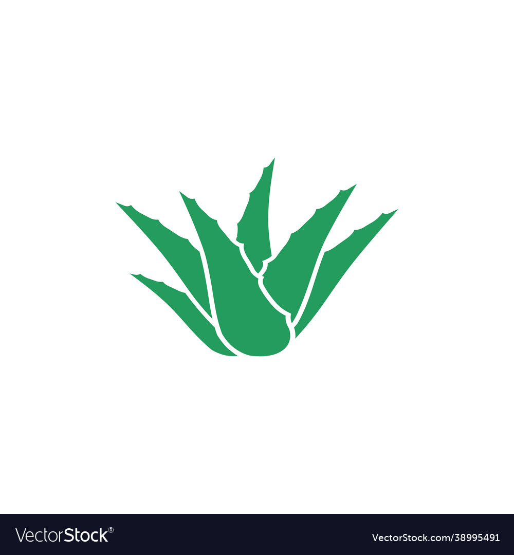 Aloe vera icon design template Royalty Free Vector Image