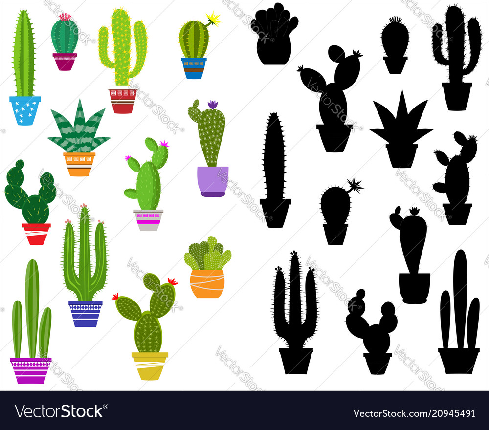 Home cactus icons in a flat style