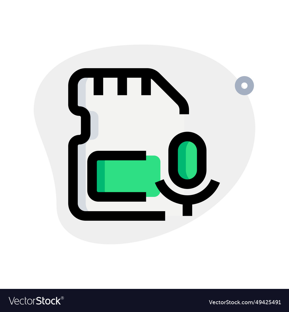 Sd card with built-in microphone for recording