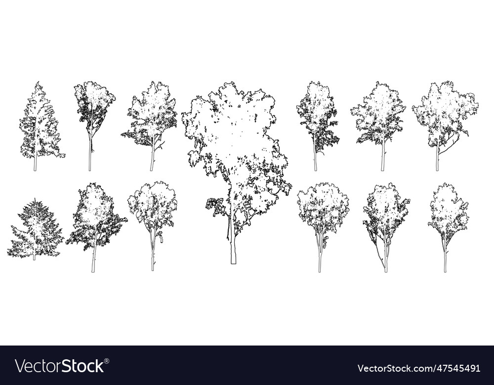 Set of forest trees for architecture vector image Set of forest trees for architecture