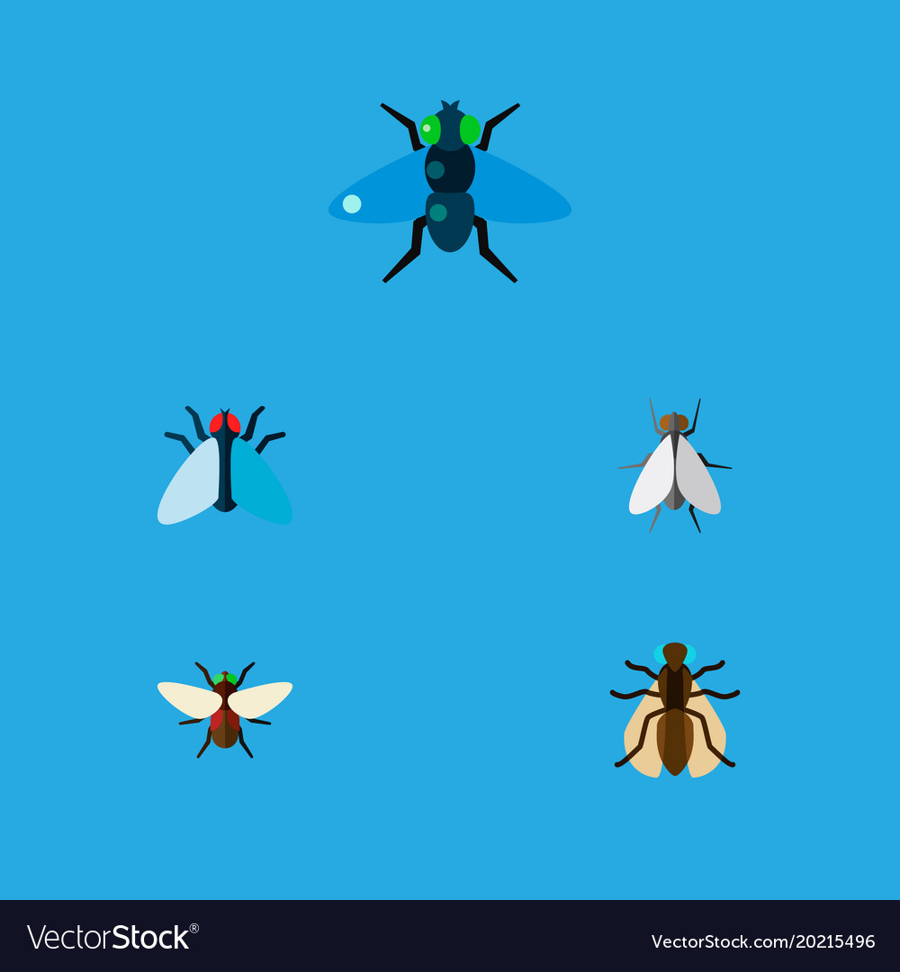 Icon flat housefly set of gnat tiny dung