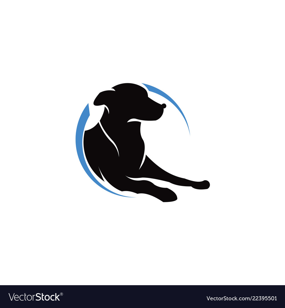 Pets logo template this cat and dog logo co Vector Image