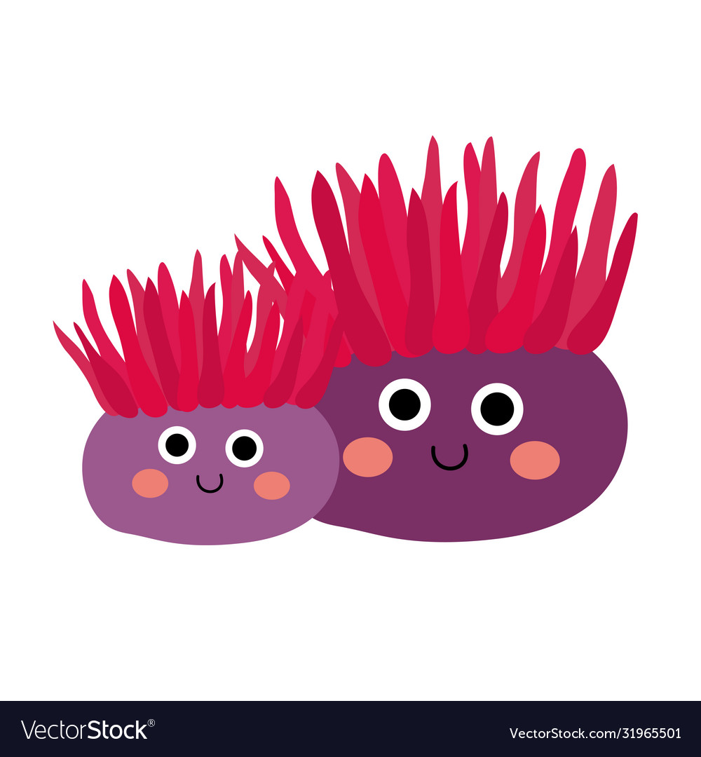 Red waratah anemone animal cartoon character Vector Image