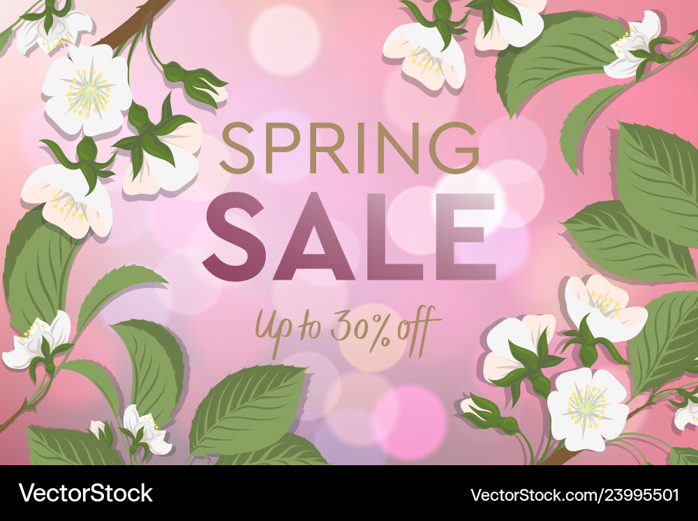 Spring sale poster with blooming cherry design Vector Image