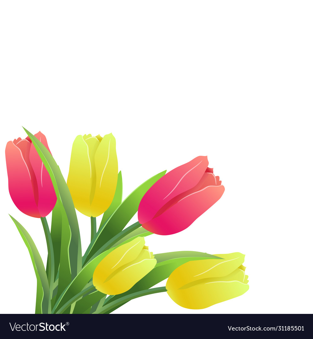 Tulips simless pattern card-01 vector image Tulips simless pattern card-01