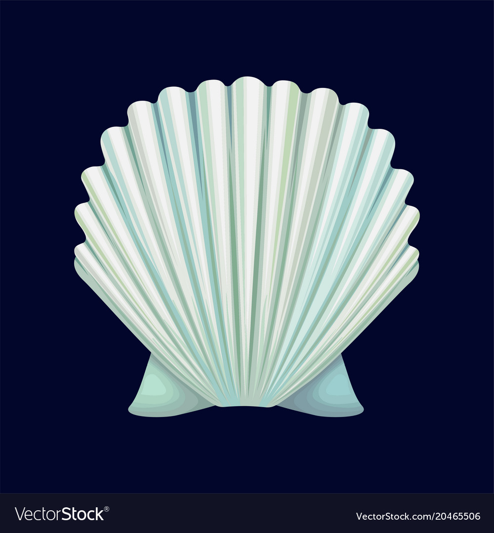 Isolated Empty Seashell
