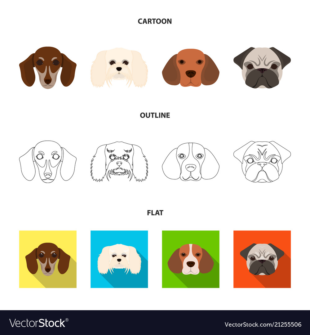 Muzzle of different breeds dogsdog breed Vector Image